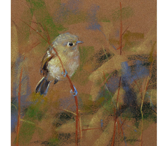 Randena Walsh "Hutton's Vireo"